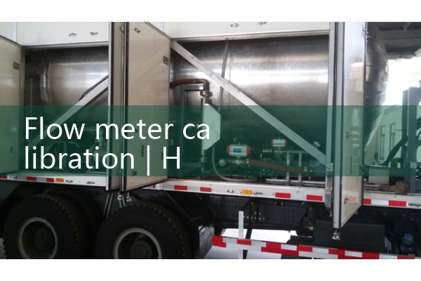 Flow meter verification